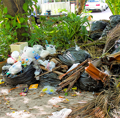 Yard and Landscape Cleanup Dumpster Rental Services Minnesota